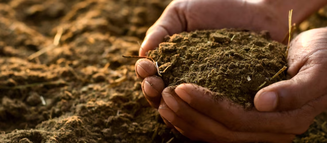 5- Como os defensivos agrícolas se comportam no ambiente