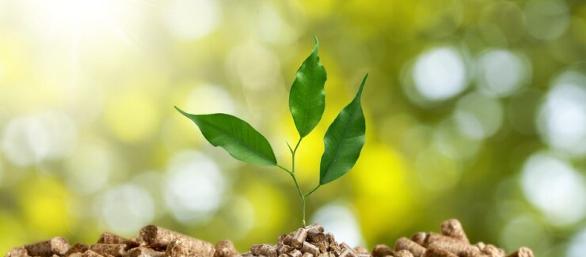 6- O que são bioinsumos_ Entenda sua