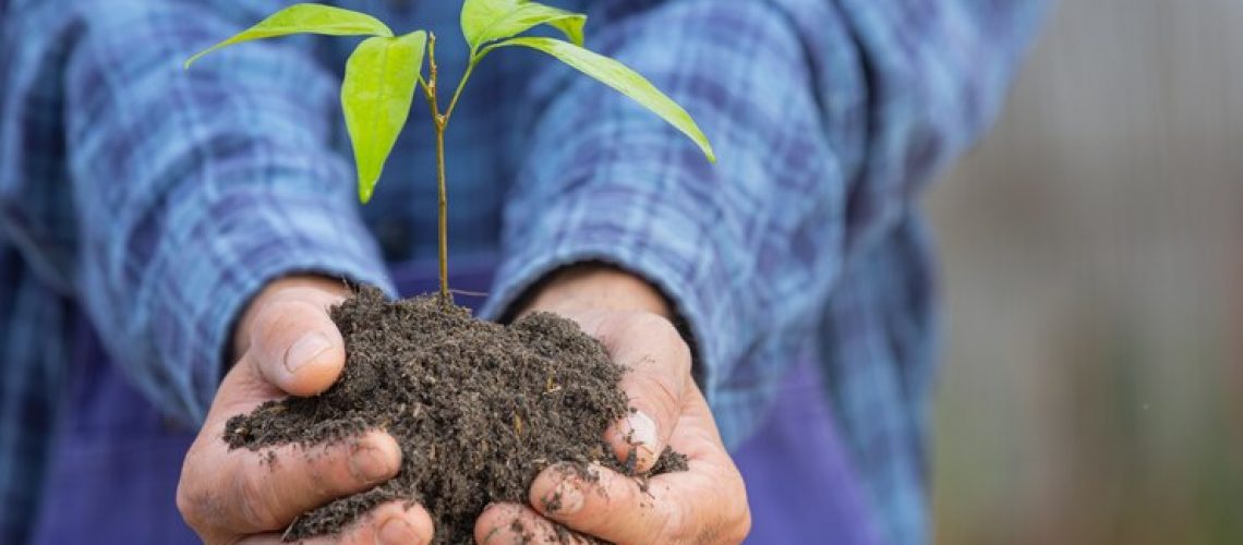 8- Como os bioinsumos podem ser classificados