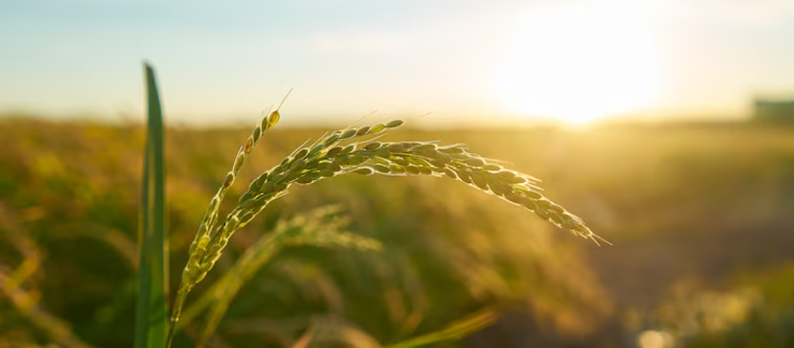 def-agricolas